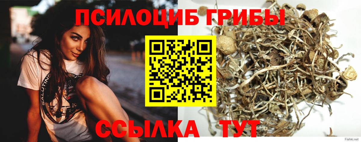 Псилоцибиновые грибы мицелий  купить   Валуйки  Вход с VPN 