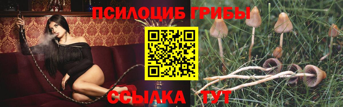 Псилоцибиновые грибы прущие грибы Валуйки